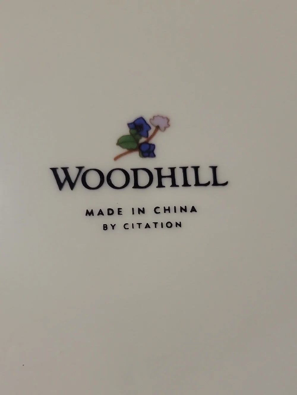 Vtg Dinner Plate Woodhill by Citation
